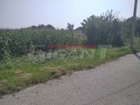 Nekretnina: PALILULA Vajfertova - Ovča ID: 855772446