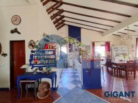 Nekretnina: VRACAR Kneginje Zorke ID: 25339564