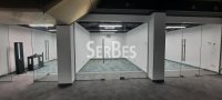 Nekretnina: Lux poslovni prostor 300m2 na Bulevaru Oslobodjenja ID#1787