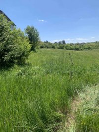 Nekretnina: Prodajem plac u Vrbovnu