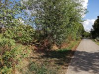 Nekretnina: Njiva-plac -Sibnica -Blizu Kosmaja 