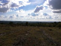 Nekretnina: Njiva-plac -Sibnica -Blizu Kosmaja 