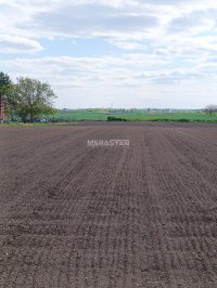 Nekretnina: Nova Misa, veliki plac, povoljna cena