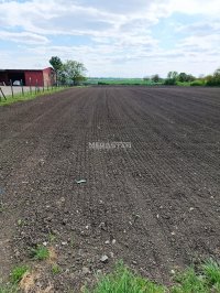 Nekretnina: Nova Misa, veliki plac, povoljna cena