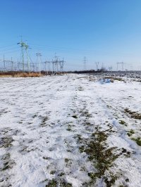 Nekretnina: Bavaništanski put, građevinski plac, povoljno