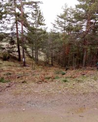 Nekretnina: Prodajem plac na Divčibarama