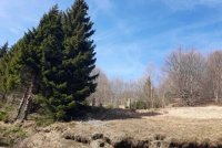 Nekretnina: Prodaja parcela na Goliji (gradjevinsko zemljiste sa dozvoljenom gradnjom)