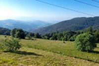 Nekretnina: Prodaja parcela na Goliji (gradjevinsko zemljiste sa dozvoljenom gradnjom)