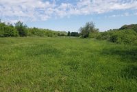 Nekretnina: Placevi na prodaju Beočin-Šakotinac
