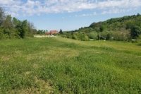 Nekretnina: Placevi na prodaju Beočin-Šakotinac