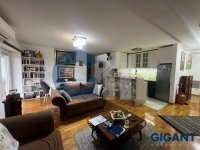Nekretnina: OPŠTINA ZEMUN Dragana Rakića-Zemun ID: 96401153