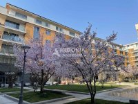 Nekretnina: West 65, noviji, atraktivan lokal, 100m2 ID#10527