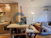 Nekretnina: VRACAR Cerska-Vračar ID: 970477