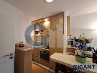 Nekretnina: VRACAR Cerska-Vračar ID: 9704713