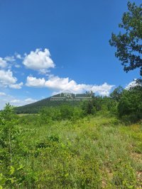 Nekretnina: Kosmaj, Rogača, plac 10 ari ID#1638
