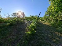 Nekretnina: Grocka - Zaklopača - 18a ID#25242
