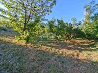 Nekretnina: Grocka - Zaklopača - 18a ID#25242