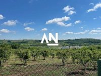 Nekretnina: Sopot, Mali Požarevac, Milovana Jovičića, odlična investicija ID#37880