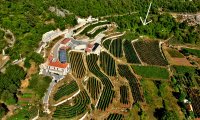 Nekretnina: Prodajem plac pored vinarije u Dobrskom Selu