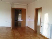 Nekretnina: Prazan stan za izdavanje Banjica ID#715086