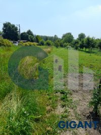 Nekretnina: PALILULA Pančevački put ID: 93499
