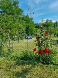 Nekretnina: Vrnjačka Banja - Ruđinci - 10 ari ID#24304