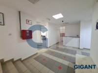 Nekretnina: VOZDOVAC Borisavljevićeva ID: 975694