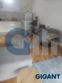 Nekretnina: VOZDOVAC Paunova ID: 9745311