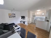 Nekretnina: Izdaje se jednoiposoban stan (45 m²) sa garažnim mestom  Novo Naselje ID#1857