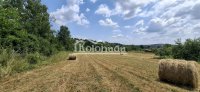 Nekretnina: Plac od 48 ari sa započetom kućom - Parcani, Ralja, Sopot ID#5726