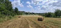 Nekretnina: Plac od 48 ari sa započetom kućom - Parcani, Ralja, Sopot ID#5726