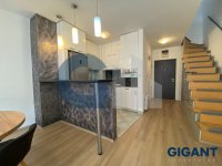 Nekretnina: VRACAR Golubačka ID: 93761903