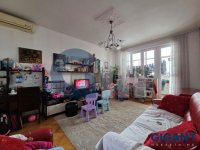 Nekretnina: PALILULA Dr. Đorđa Joanovića ID: 95602200