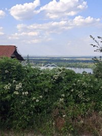 Nekretnina: Plac - Zaklopača - 9ari ID#25533