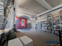 Nekretnina: ZVEZDARA Miloša Savkovića ID: 94116811