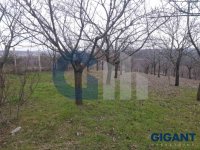 Nekretnina: ZVEZDARA Stanojeva livada ID: 96099300
