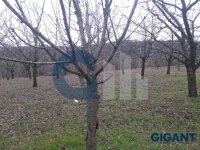 Nekretnina: ZVEZDARA Stanojeva livada ID: 96099300