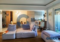 Nekretnina: VRACAR Kneginje Zorke ID: 973052
