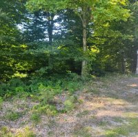 Nekretnina: Prodajem plac na planini Goč