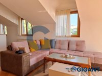 Nekretnina: SAVSKI VENAC Drinička ID: 977052