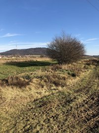 Nekretnina: Avala, plac 50a57m2, Pinosava