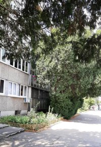 Nekretnina: Voždovac, Autokomanda, Triše Kaclerovića, 83m2