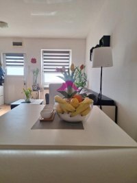 Nekretnina: Novi Sad, Telep, duplex 2.5, 48m2 sa parkingom ID#1620
