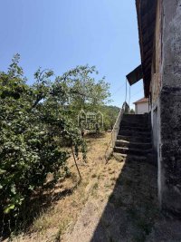 Nekretnina: Kuća u Gadžinom Hanu P=80m2, plac 6.5a+ 2ha zemlja ID#2471