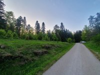 Nekretnina: Na prodaju plac na Zlatiboru