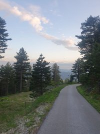 Nekretnina: Na prodaju plac na Zlatiboru