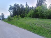 Nekretnina: Na prodaju plac na Zlatiboru