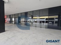 Nekretnina: PALILULA Pančevački put ID: 96332326