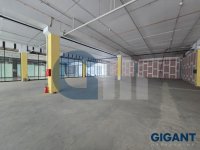 Nekretnina: PALILULA Pančevački put ID: 96332326