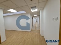 Nekretnina: OPŠTINA NOVI BEOGRAD Bulevar Zorana Đinđića ID: 95492537